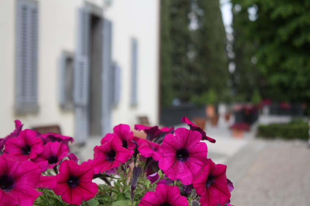 Villa Montarioso Сієна Екстер'єр фото